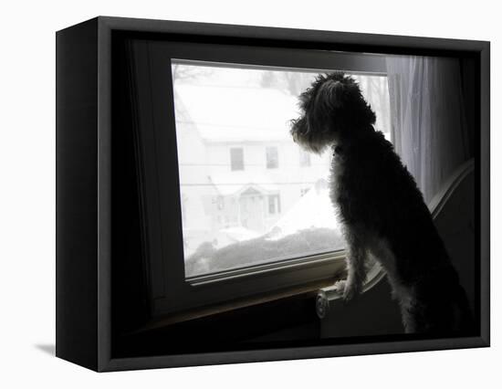 The Blizzard-Nance Trueworthy-Framed Stretched Canvas