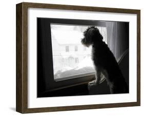 The Blizzard-Nance Trueworthy-Framed Photographic Print