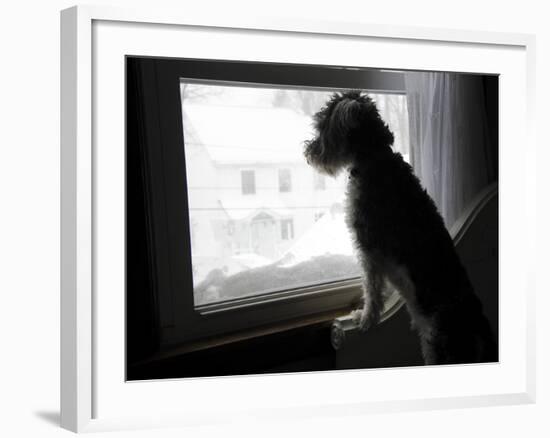 The Blizzard-Nance Trueworthy-Framed Photographic Print