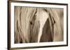 The Blonde-Lisa Dearing-Framed Art Print