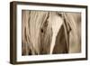 The Blonde-Lisa Dearing-Framed Photographic Print