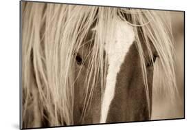 The Blonde-Lisa Dearing-Mounted Photographic Print