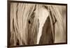 The Blonde-Lisa Dearing-Framed Photographic Print