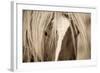 The Blonde-Lisa Dearing-Framed Photographic Print