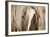 The Blonde-Lisa Dearing-Framed Photographic Print