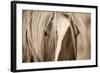 The Blonde-Lisa Dearing-Framed Photographic Print