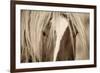 The Blonde-Lisa Dearing-Framed Photographic Print