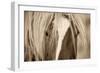 The Blonde-Lisa Dearing-Framed Photographic Print