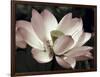 The Blossom-Andy Neuwirth-Framed Photo