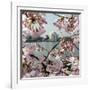 The Blossoms are Almost in Full Bloom on the Cherry Trees-null-Framed Photographic Print