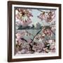 The Blossoms are Almost in Full Bloom on the Cherry Trees-null-Framed Photographic Print