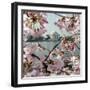 The Blossoms are Almost in Full Bloom on the Cherry Trees-null-Framed Photographic Print