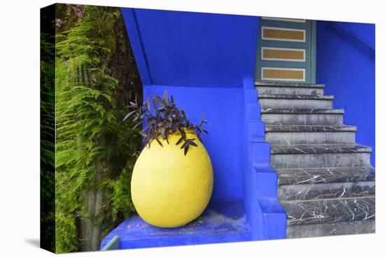 The Blue and Yellow Contrast Found in the Majorelle Garden. Marrakech, Morocco-Mauricio Abreu-Stretched Canvas