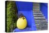 The Blue and Yellow Contrast Found in the Majorelle Garden. Marrakech, Morocco-Mauricio Abreu-Stretched Canvas