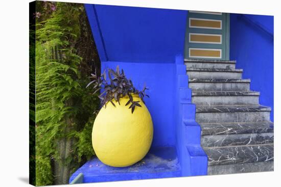 The Blue and Yellow Contrast Found in the Majorelle Garden. Marrakech, Morocco-Mauricio Abreu-Stretched Canvas