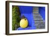 The Blue and Yellow Contrast Found in the Majorelle Garden. Marrakech, Morocco-Mauricio Abreu-Framed Photographic Print