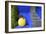 The Blue and Yellow Contrast Found in the Majorelle Garden. Marrakech, Morocco-Mauricio Abreu-Framed Photographic Print