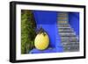 The Blue and Yellow Contrast Found in the Majorelle Garden. Marrakech, Morocco-Mauricio Abreu-Framed Photographic Print