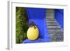 The Blue and Yellow Contrast Found in the Majorelle Garden. Marrakech, Morocco-Mauricio Abreu-Framed Photographic Print