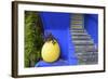 The Blue and Yellow Contrast Found in the Majorelle Garden. Marrakech, Morocco-Mauricio Abreu-Framed Photographic Print