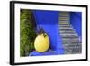 The Blue and Yellow Contrast Found in the Majorelle Garden. Marrakech, Morocco-Mauricio Abreu-Framed Photographic Print