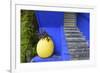 The Blue and Yellow Contrast Found in the Majorelle Garden. Marrakech, Morocco-Mauricio Abreu-Framed Photographic Print