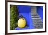 The Blue and Yellow Contrast Found in the Majorelle Garden. Marrakech, Morocco-Mauricio Abreu-Framed Photographic Print