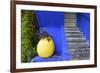 The Blue and Yellow Contrast Found in the Majorelle Garden. Marrakech, Morocco-Mauricio Abreu-Framed Photographic Print