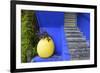 The Blue and Yellow Contrast Found in the Majorelle Garden. Marrakech, Morocco-Mauricio Abreu-Framed Photographic Print