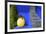 The Blue and Yellow Contrast Found in the Majorelle Garden. Marrakech, Morocco-Mauricio Abreu-Framed Photographic Print