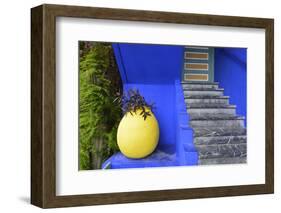 The Blue and Yellow Contrast Found in the Majorelle Garden. Marrakech, Morocco-Mauricio Abreu-Framed Photographic Print