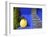 The Blue and Yellow Contrast Found in the Majorelle Garden. Marrakech, Morocco-Mauricio Abreu-Framed Photographic Print