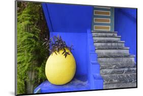 The Blue and Yellow Contrast Found in the Majorelle Garden. Marrakech, Morocco-Mauricio Abreu-Mounted Photographic Print