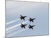 The Blue Angels-Stocktrek Images-Mounted Photographic Print