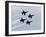 The Blue Angels-Stocktrek Images-Framed Photographic Print