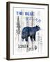 The Blue Bear-LightBoxJournal-Framed Giclee Print