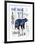 The Blue Bear-LightBoxJournal-Framed Giclee Print