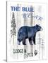 The Blue Bear-LightBoxJournal-Stretched Canvas