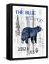 The Blue Bear-LightBoxJournal-Framed Stretched Canvas