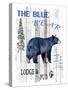 The Blue Bear-LightBoxJournal-Stretched Canvas