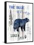 The Blue Bear-LightBoxJournal-Framed Stretched Canvas