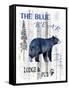 The Blue Bear-LightBoxJournal-Framed Stretched Canvas