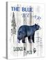 The Blue Bear-LightBoxJournal-Stretched Canvas