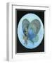 The Blue Butterfly-Wayne Anderson-Framed Giclee Print