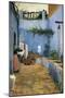 The Blue Courtyard-Santiago Rusinol-Mounted Art Print