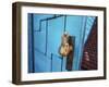 The Blue Door-Dana Brett Munach-Framed Giclee Print