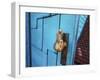 The Blue Door-Dana Brett Munach-Framed Giclee Print