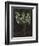 The Blue Gladioli, C. 1929-Chaim Soutine-Framed Giclee Print