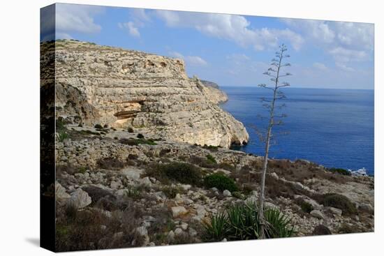 The Blue Grotto Malta-Diana Mower-Stretched Canvas
