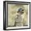 The Blue Hat-Sir William Orpen-Framed Giclee Print